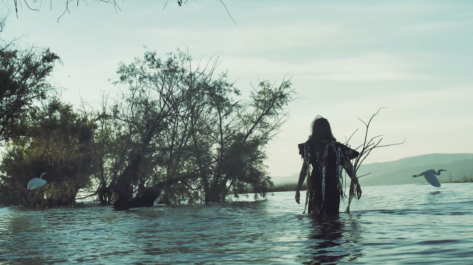 LEMAT 17 HANNA in Lake, GAVIOTAS, STILL FROM VIDEO