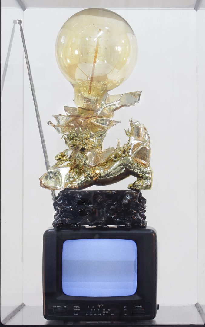 NINA E. SCHÖNEFELD 19