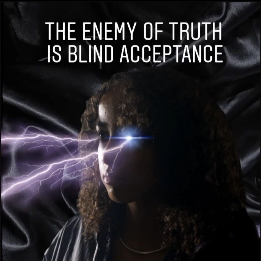 NINA E. SCHÖNEFELD 7