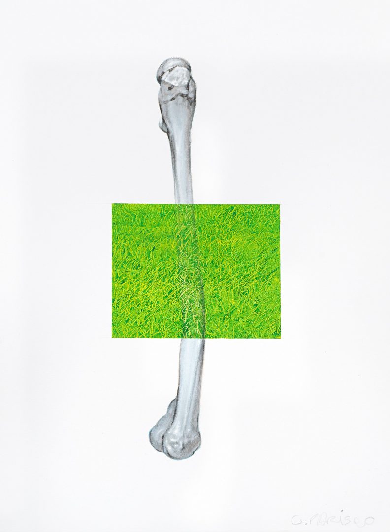 PARIS GIACHOUSTIDIS 4 PARIS GIACHOUSTIDIS 3