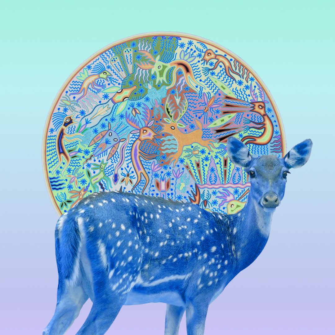 Edgar Fábian Frías 16