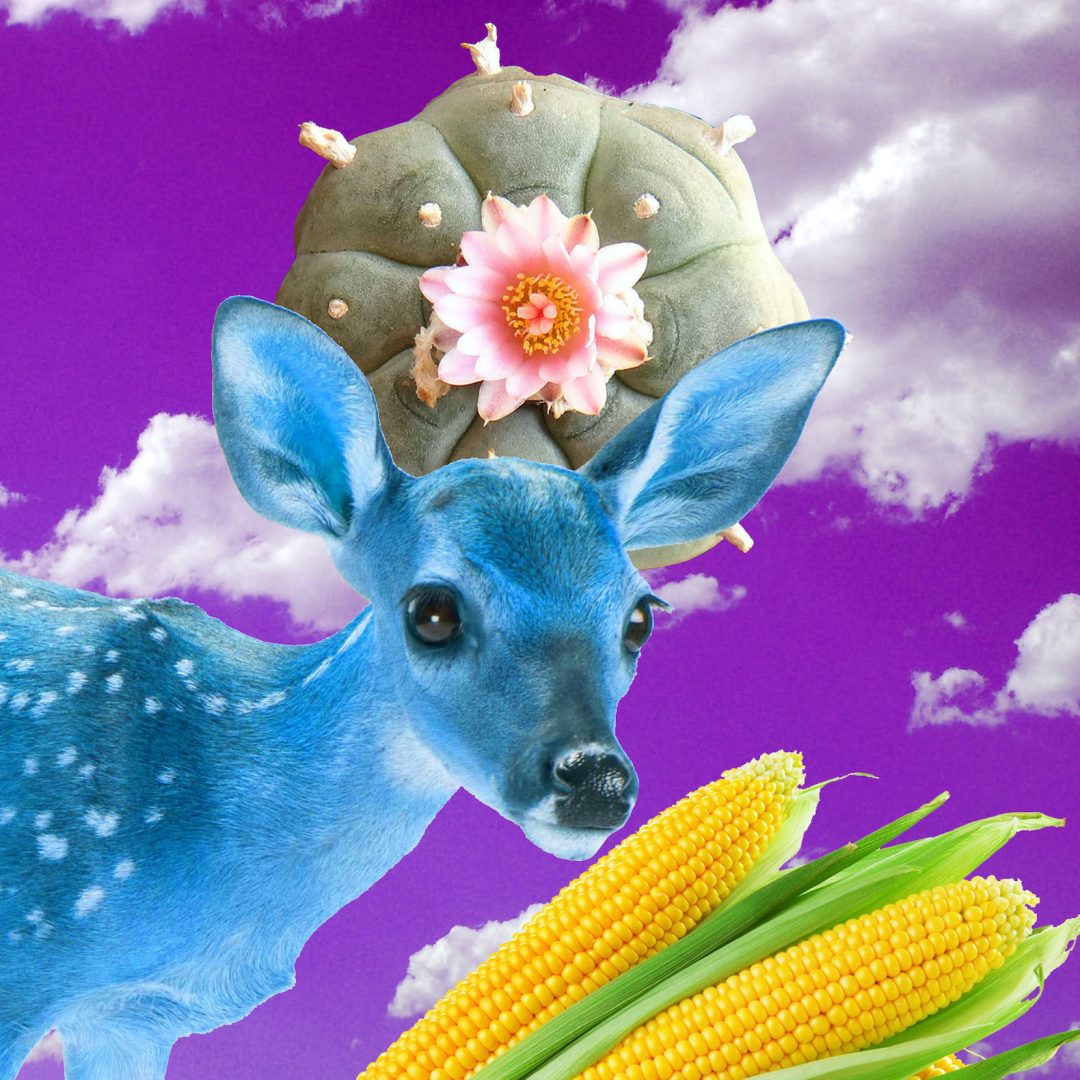 Edgar Fábian Frías 4