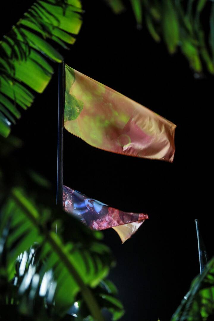 Bianca Otilia Ghiuzan 2