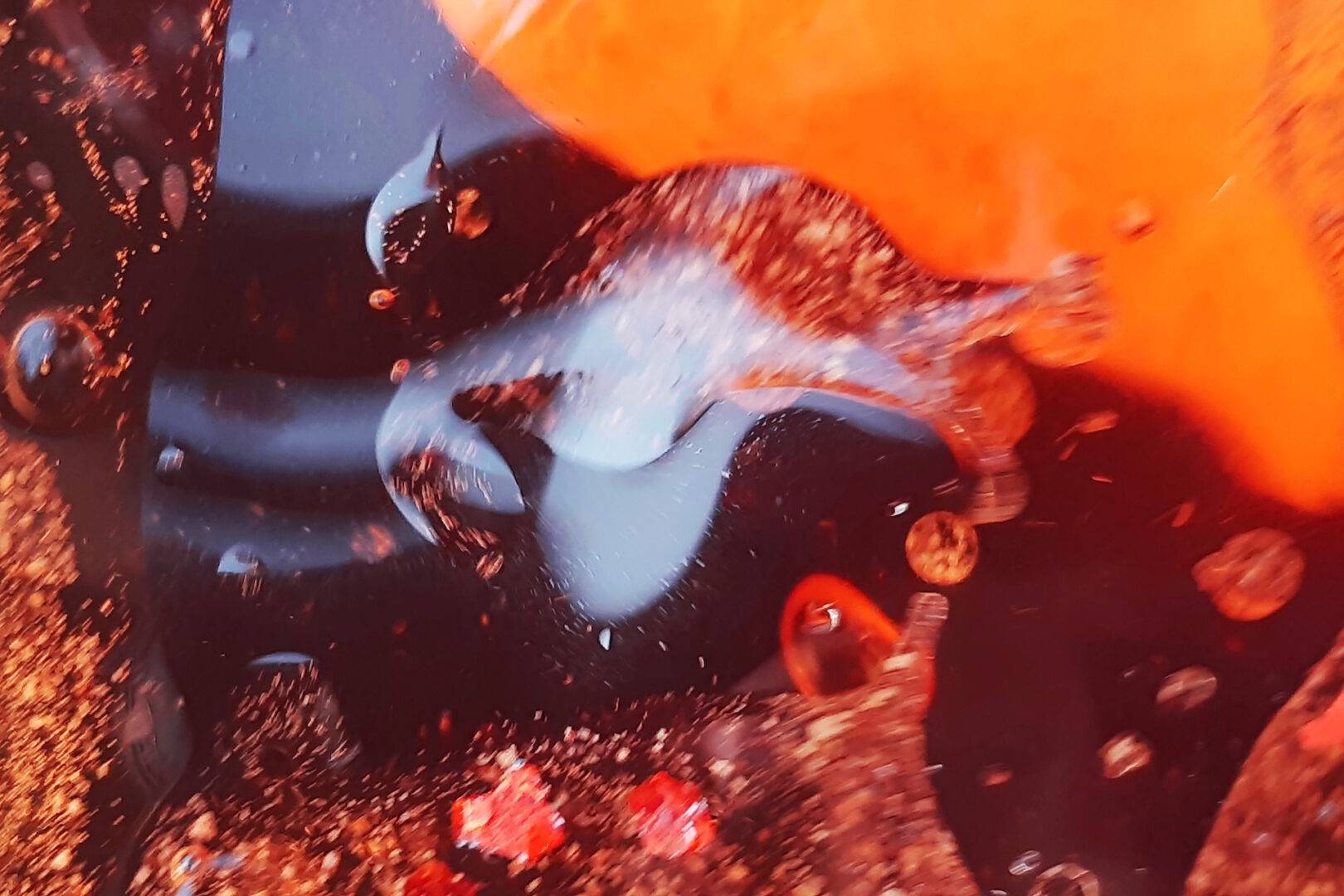 Bianca Otilia Ghiuzan 3