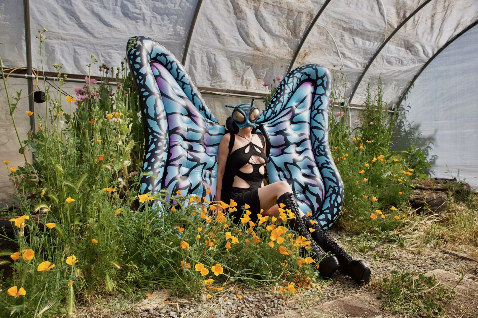 MONET CLARK 12 MONET CLARK 4