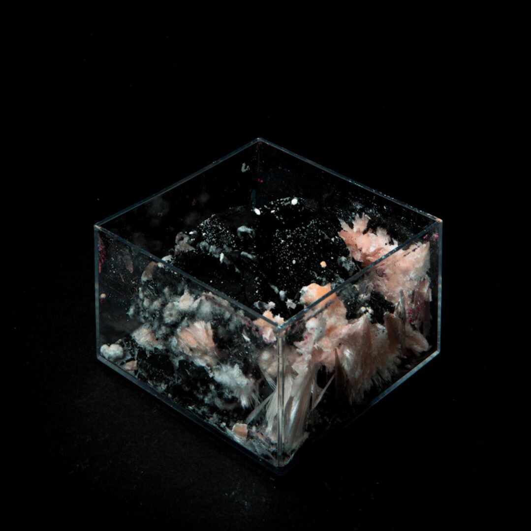 MONIKA DORNIAK 10 MONIKA DORNIAK 8