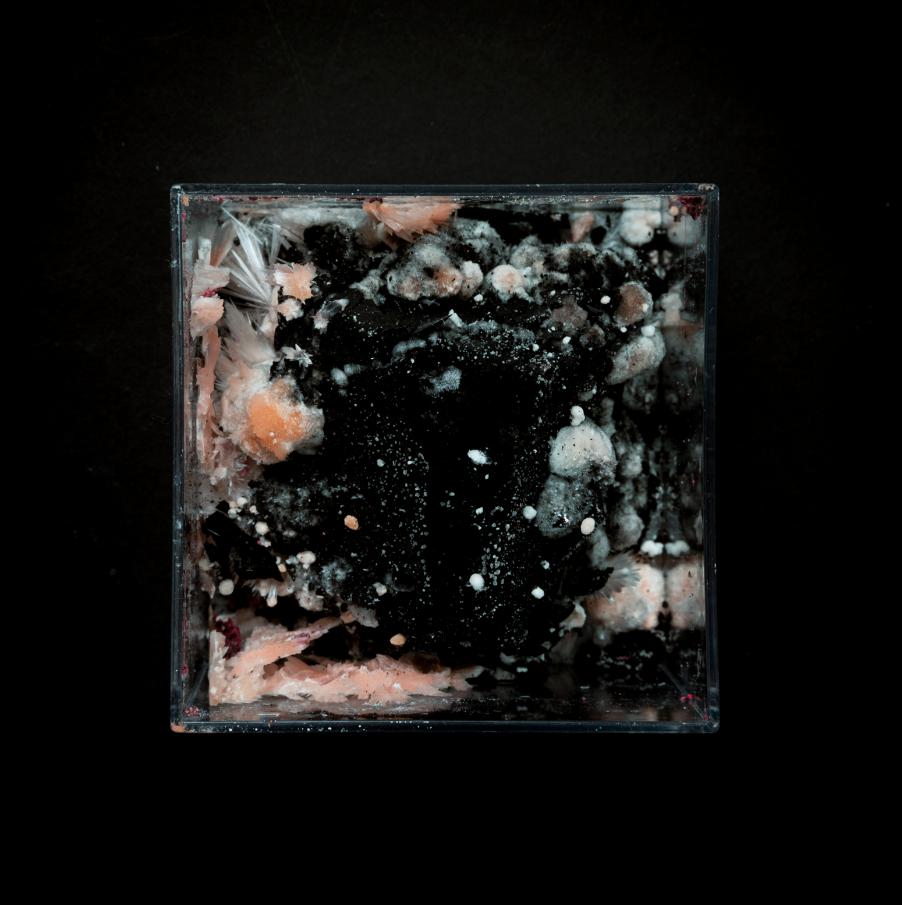 MONIKA DORNIAK 11 MONIKA DORNIAK 9