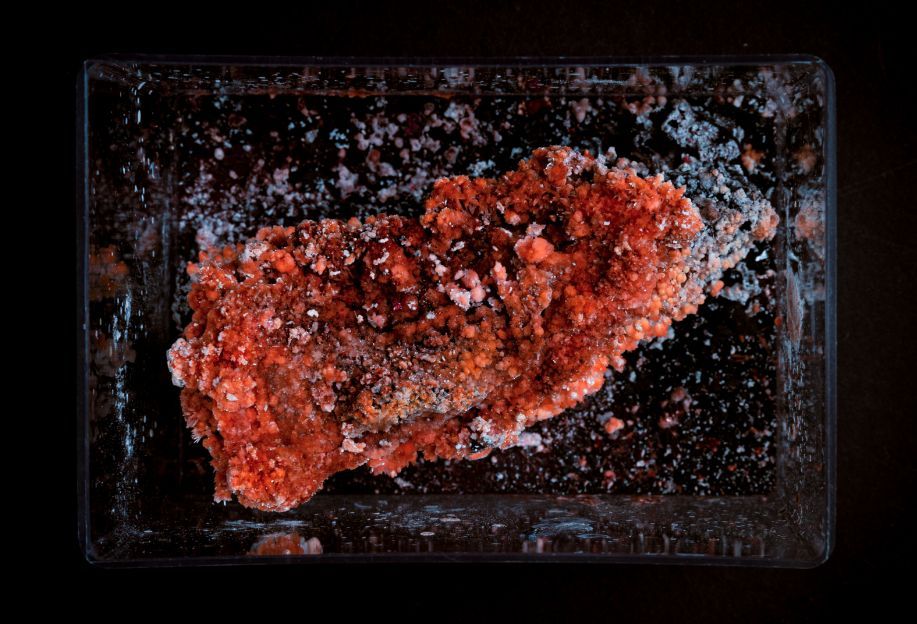 MONIKA DORNIAK 6 MONIKA DORNIAK 5