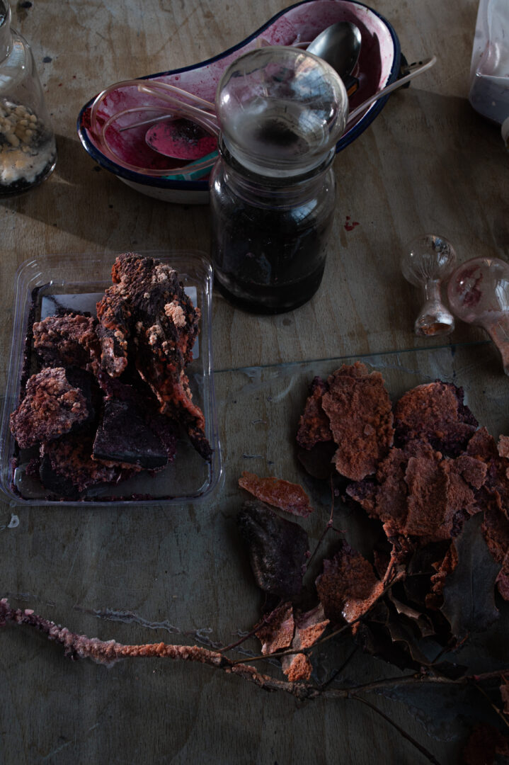 MONIKA DORNIAK 13 MONIKA DORNIAK 11