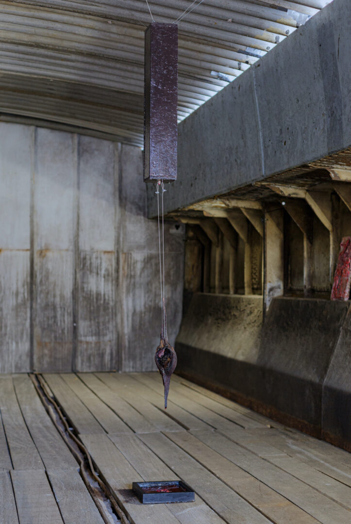 MONIKA DORNIAK 8 MONIKA DORNIAK 7