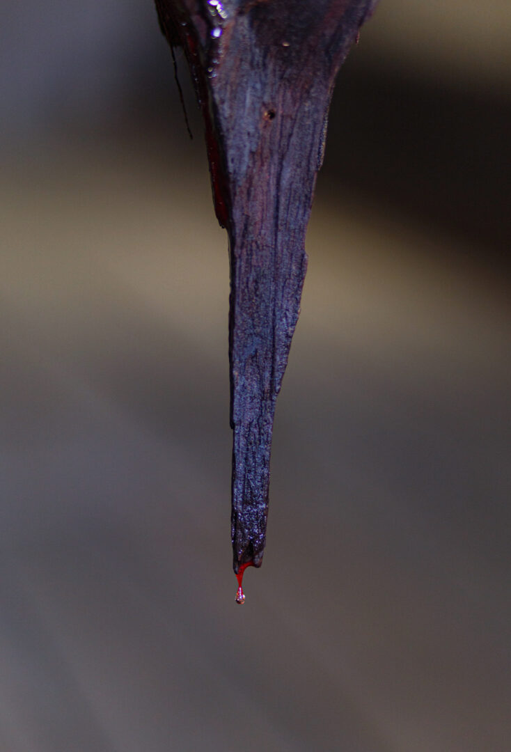 MONIKA DORNIAK 4 MONIKA DORNIAK 4