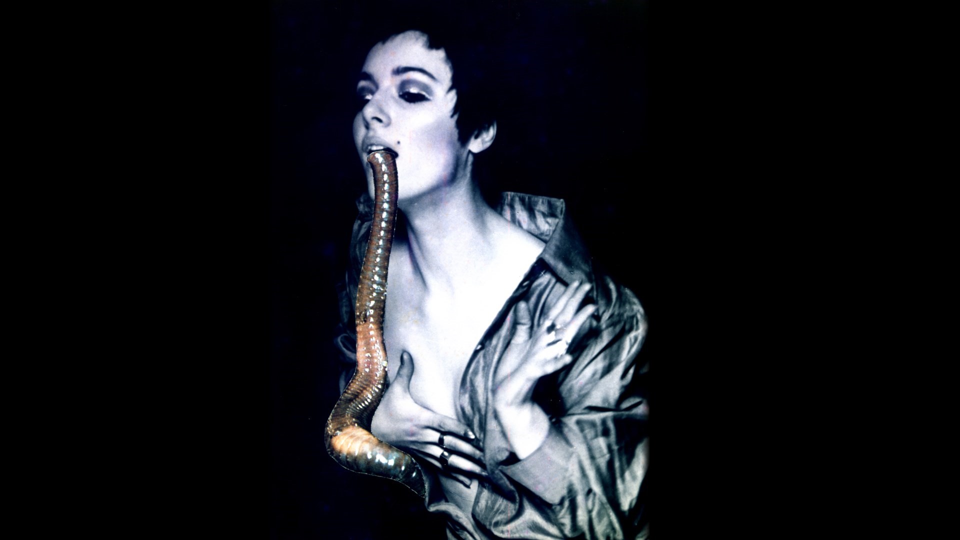 PENNY SLINGER 2 Penny Slinger, Larval Worm, Photo collage, 1969